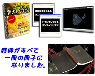 代替テキスト